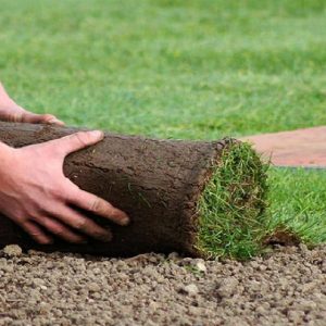 PASTO NATURAL X M2 PREMIUM